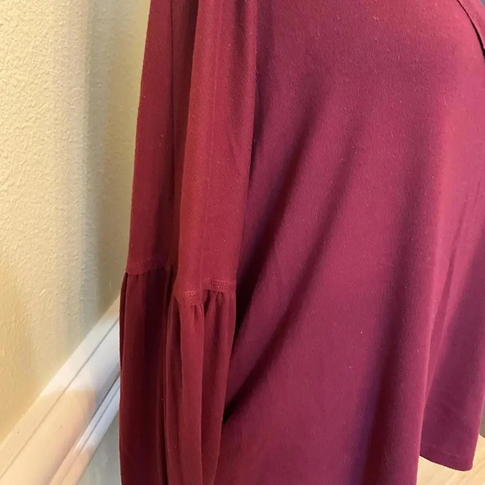 Wine Red V Neck Sweatshirt Pullover