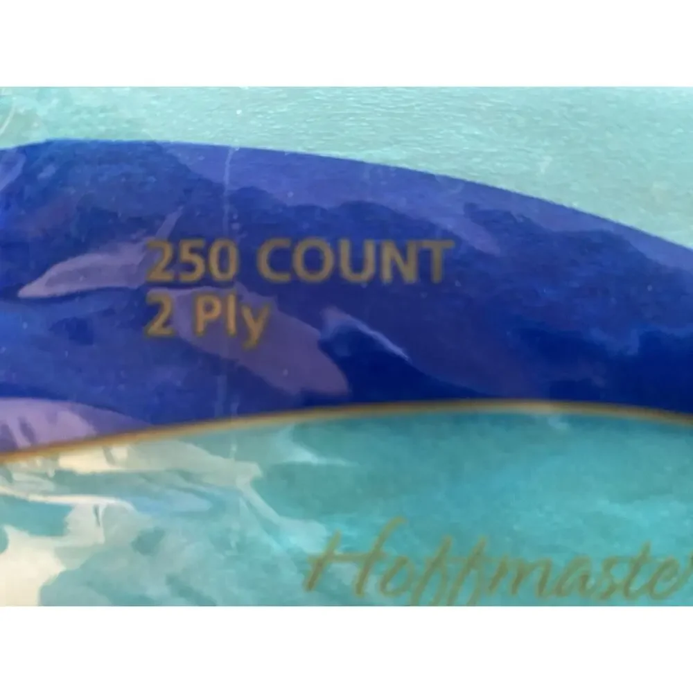 Teal Hoffmaster Beverage Cocktail Napkins 250 Pack 5