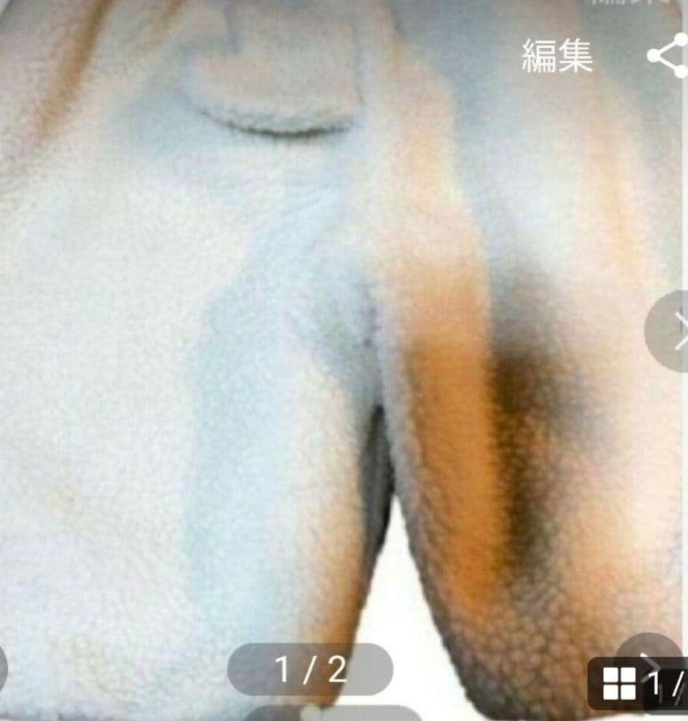 Donald Duck Pants