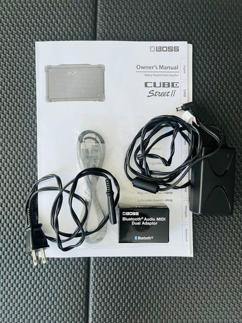 BOSS CUBE Street II Portable PA System