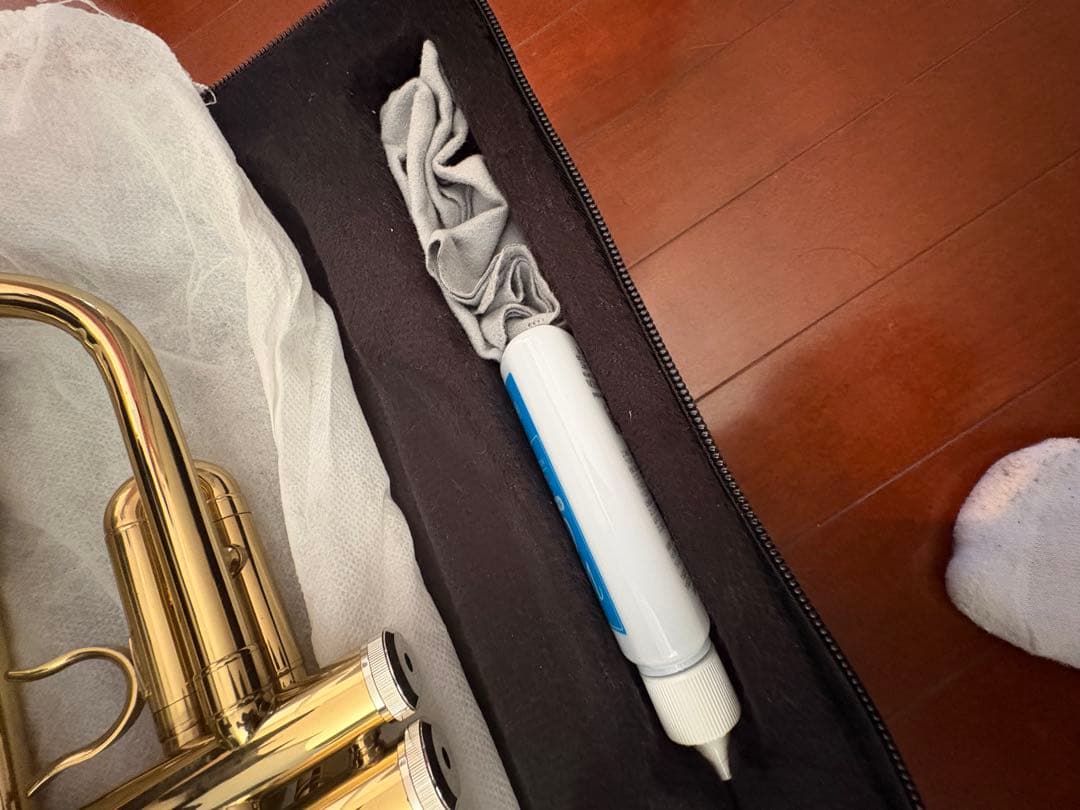 Gold Trumpet with Case