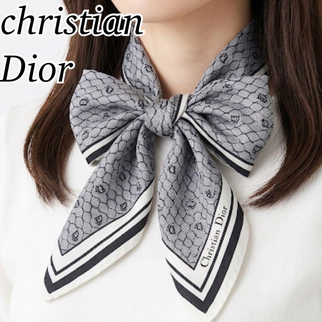 P762 Christian Dior 100% Silk Honeycomb Scarf for Women