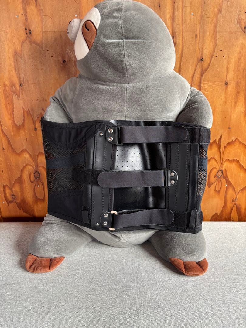 Breathable Mesh Lower Back Brace
