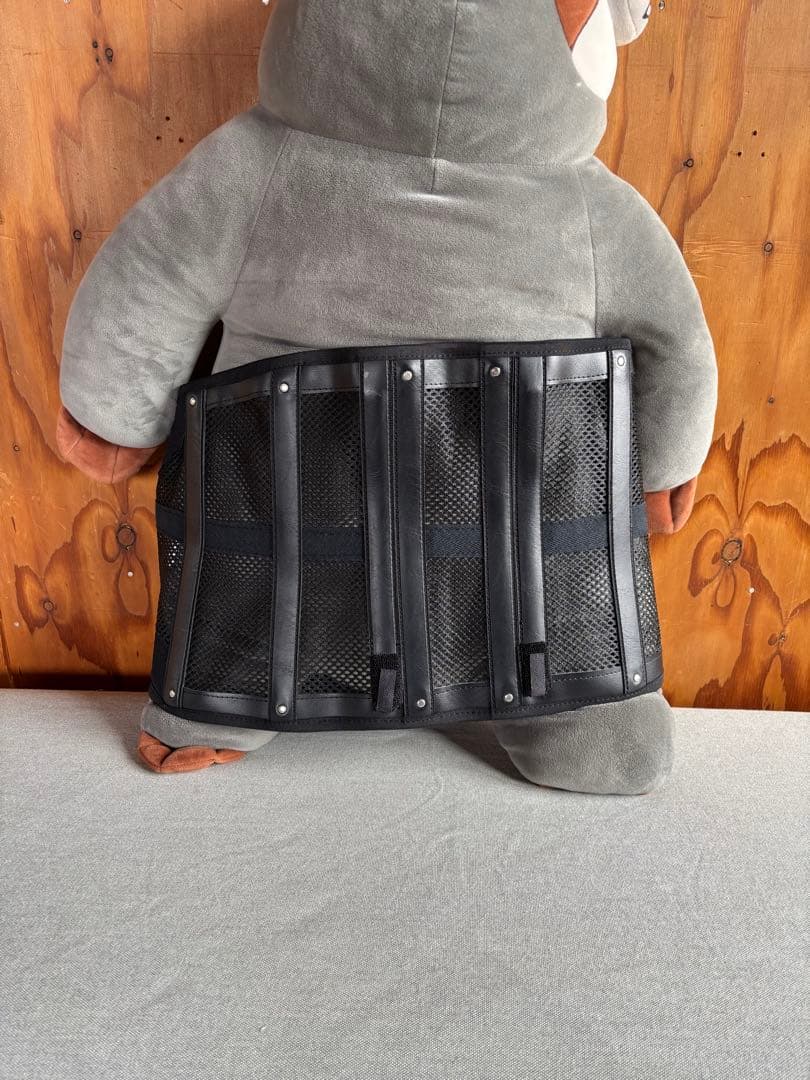 Breathable Mesh Lower Back Brace