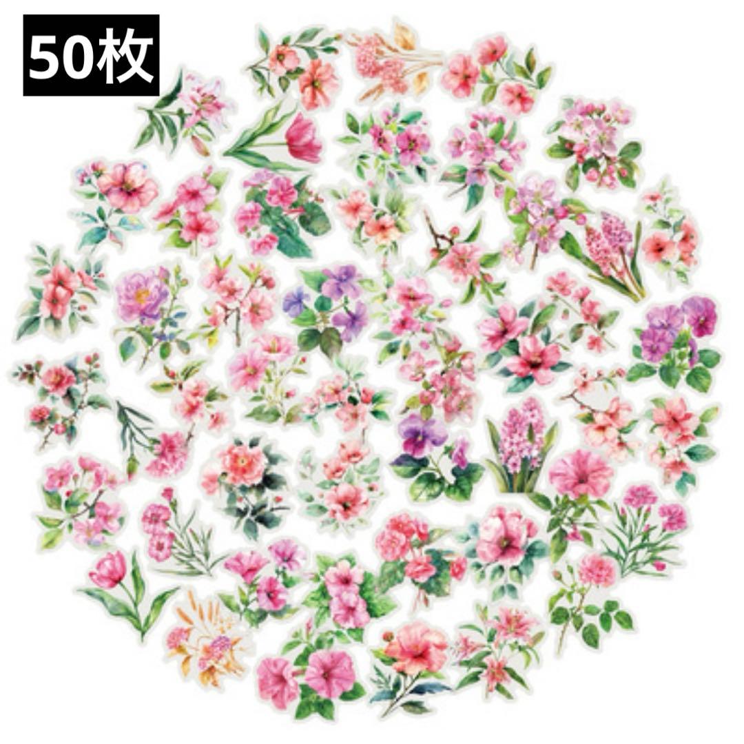 794 Stickers - Sharing Pack - Flake Seals - Overseas - Waterproof - Transparent - Collage Material