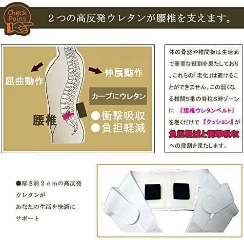 【New】Reliable Made in Japan Lucky West Lumbar Support Belt, Size M