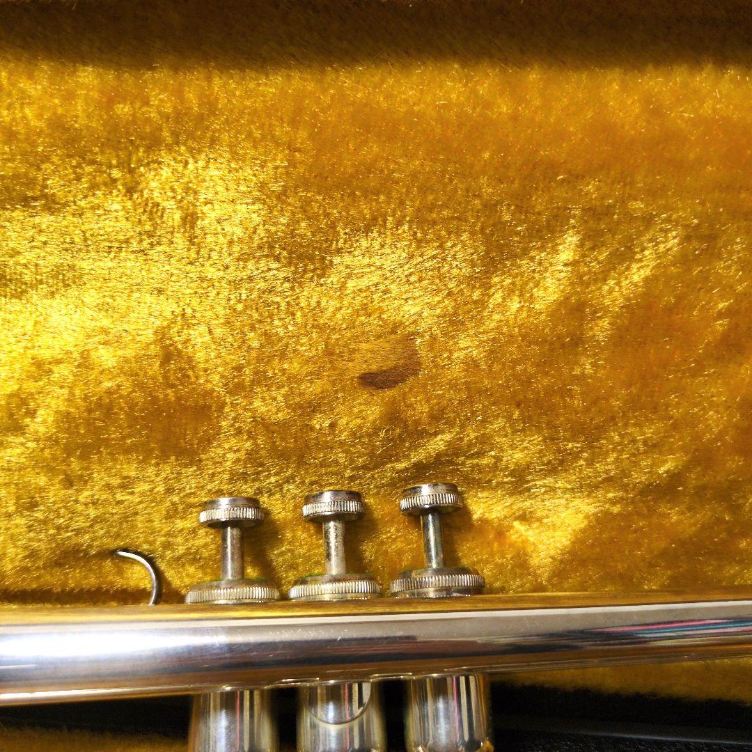 Savarez Trumpet Mouthpiece with Hard Case