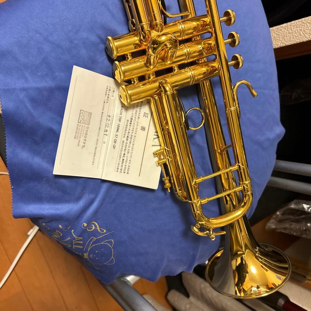 Bach Trumpet 180ML 37 GB GP