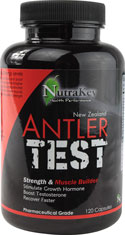 Antler-Test